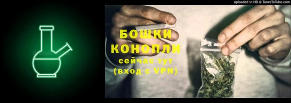 PSILOCYBIN Осинники