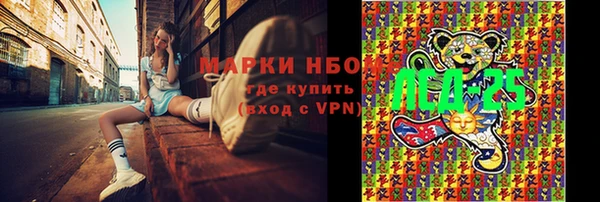PSILOCYBIN Осинники