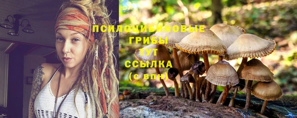 скорость Осташков