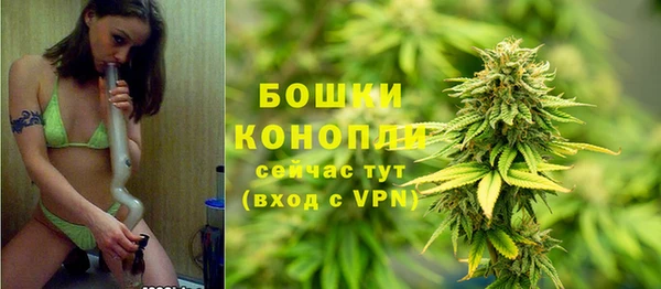 PSILOCYBIN Осинники