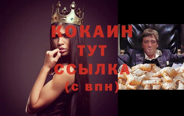 PSILOCYBIN Осинники
