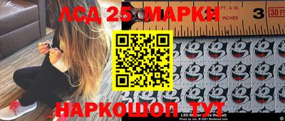 СК Кимры
