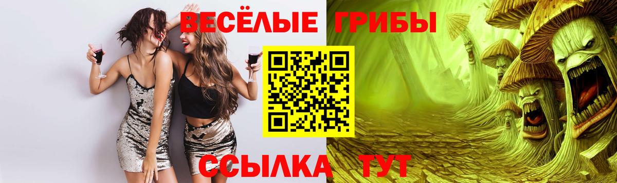 Советск  Псилоцибиновые грибы Cubensis  Вход с VPN 